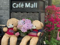 -萤火虫咖啡(砖著店)