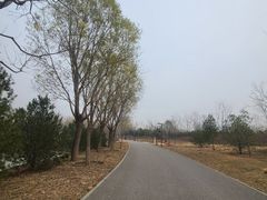 -东郊湿地公园