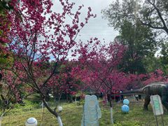 -求水山公园