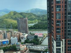 -君悦酒店·大堂酒吧·高空下午茶·暮色微醺