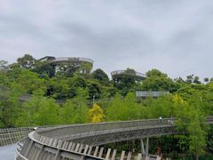 -福道