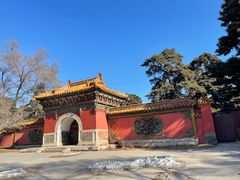 -北陵公园
