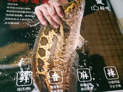 -金三可市井水煮鱼(金碧园店)