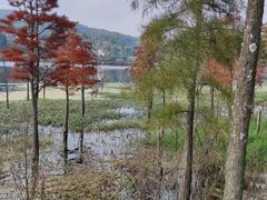 -名花谷生态庄园