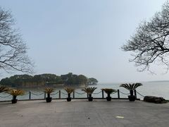 -同里湖度假村(二期店)
