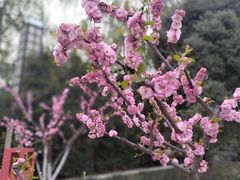 -洛阳市隋唐城遗址植物园