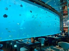 -瑞德姆美人鱼海底演艺主题餐厅(亚龙湾店)