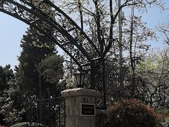 -青岛德国总督楼旧址博物馆