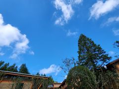 -山王坪喀斯特国家生态公园