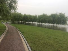 -滨江生态公园