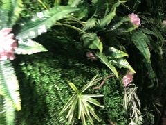 -绿茶餐厅(华联万柳店)