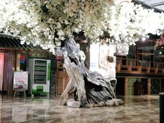 -青水瓦台汤泉(新华店)