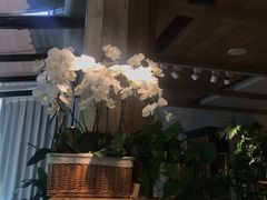 大堂-春暖花开(西溪店)