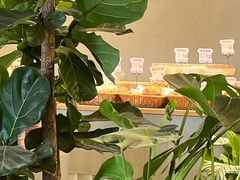 -迦南的早晨蛋糕甜品集合店