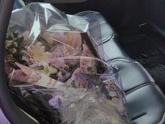 -BEAST野兽派(上海浦东嘉里城店)