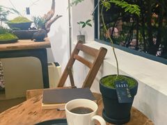 -植觉
