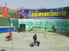 -五龙山野生动物王国