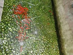 -鲁迅公园-垂钓中心