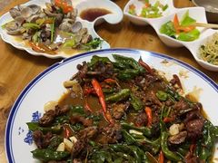 -食鸡公社辣子鸡·潍坊菜·烧烤