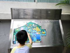 -九龙公园