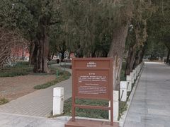 -北京市劳动人民文化宫(太庙)