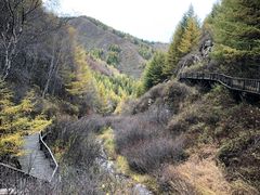 -苏木山森林公园