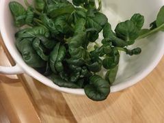 -烹然四季椰子鸡火锅(姚家园万象汇店)