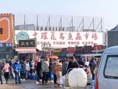 -中环花鸟鱼虫市场