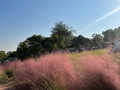 -钟山体育运动公园