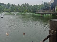 -上海怡沁园度假酒店