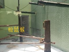 -太原动物园
