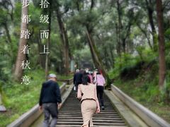 -子昂故里文化旅游区