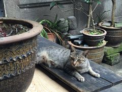 -龙姐私房菜(和顺古镇店)