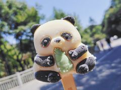 -中国大熊猫保护研究中心雅安碧峰峡基地