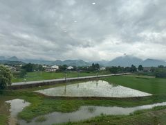 -黄牛肉馆·皖南土菜