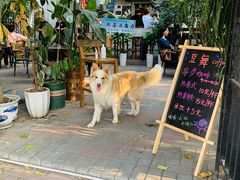 -豆舞咖啡(民乐路店)