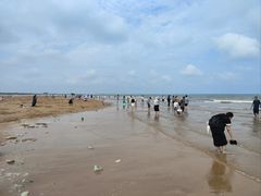 -日照海滨国家森林公园