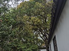 -上海醉白池公园