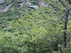 -北京密云天门山风景区