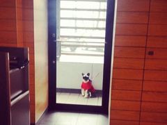 -麦当劳(国际社区店)