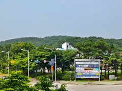 -Olive Young(明洞旗舰店)