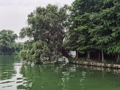 -石湖景区