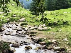 -芦芽山旅游度假区