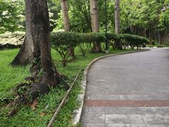 -屯门公园