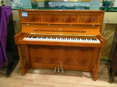 -柏斯音乐艺术中心·钢琴·吉他(世纪金源店)