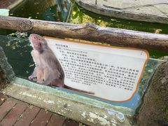-贵州森林野生动物园