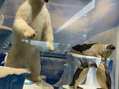 -国家自然博物馆