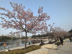 -新江湾城公园