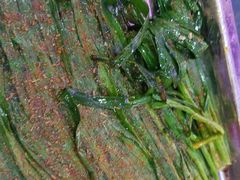 -西北老马食府(陈家营西路店)