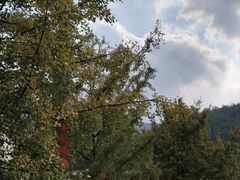 -长兴八都岕景区